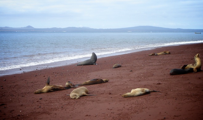 red sand beach